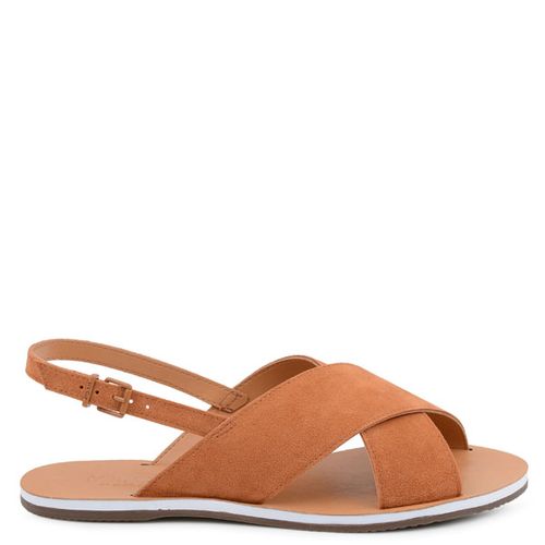 RASTEIRA-SUMMER-FUN-COLORSTN1