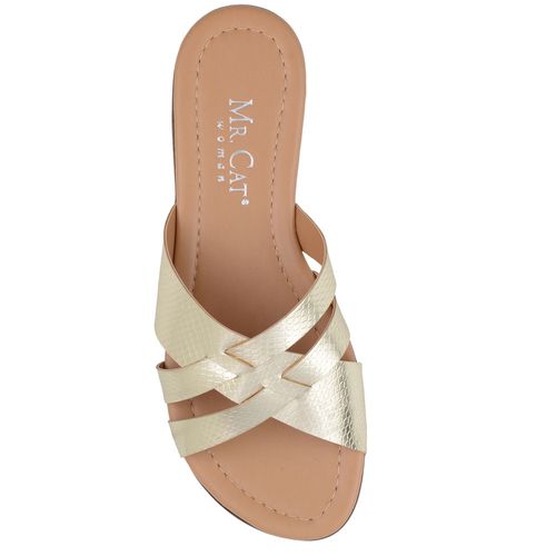 RASTEIRA-SLIDE-SNAKEOU2