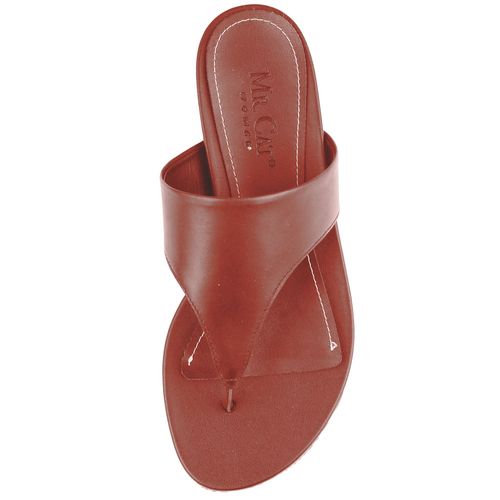 rasteirinha anatomica