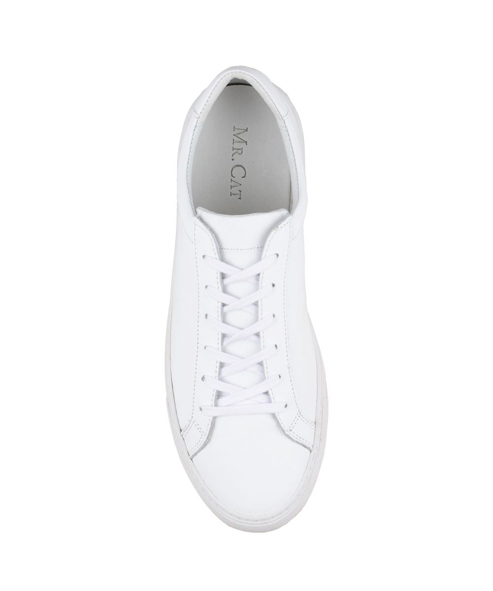 TENIS-NEW-CLASSICBC2