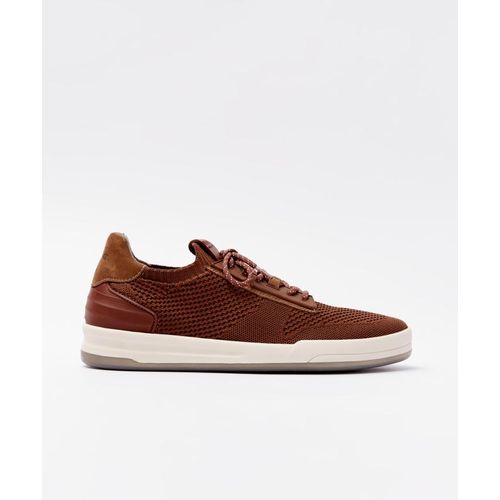 AMSTERDAM-KNIT---CAMEO-01