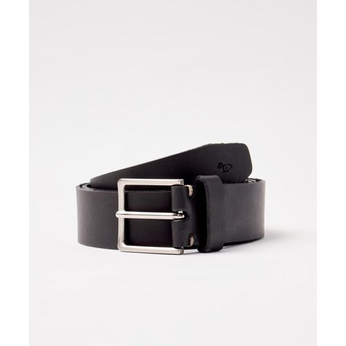 CINTO-MOSCA---PRETO-01